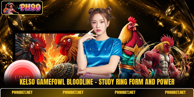 Kelso Gamefowl Bloodline - Study Ring Form And Power